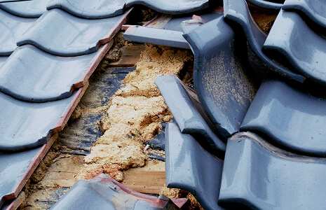 瓦のズレの写真