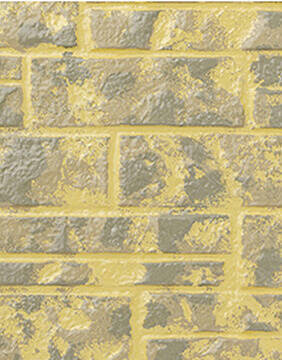 カラー見本の写真