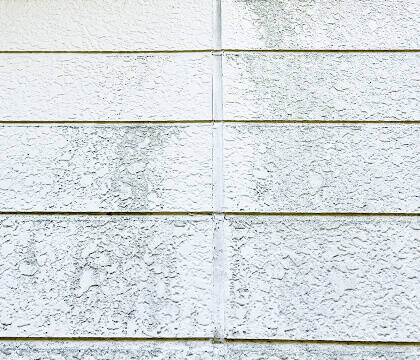 コケ・汚れ色あせ写真