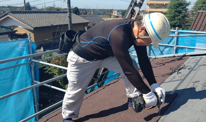 シマジューの写真