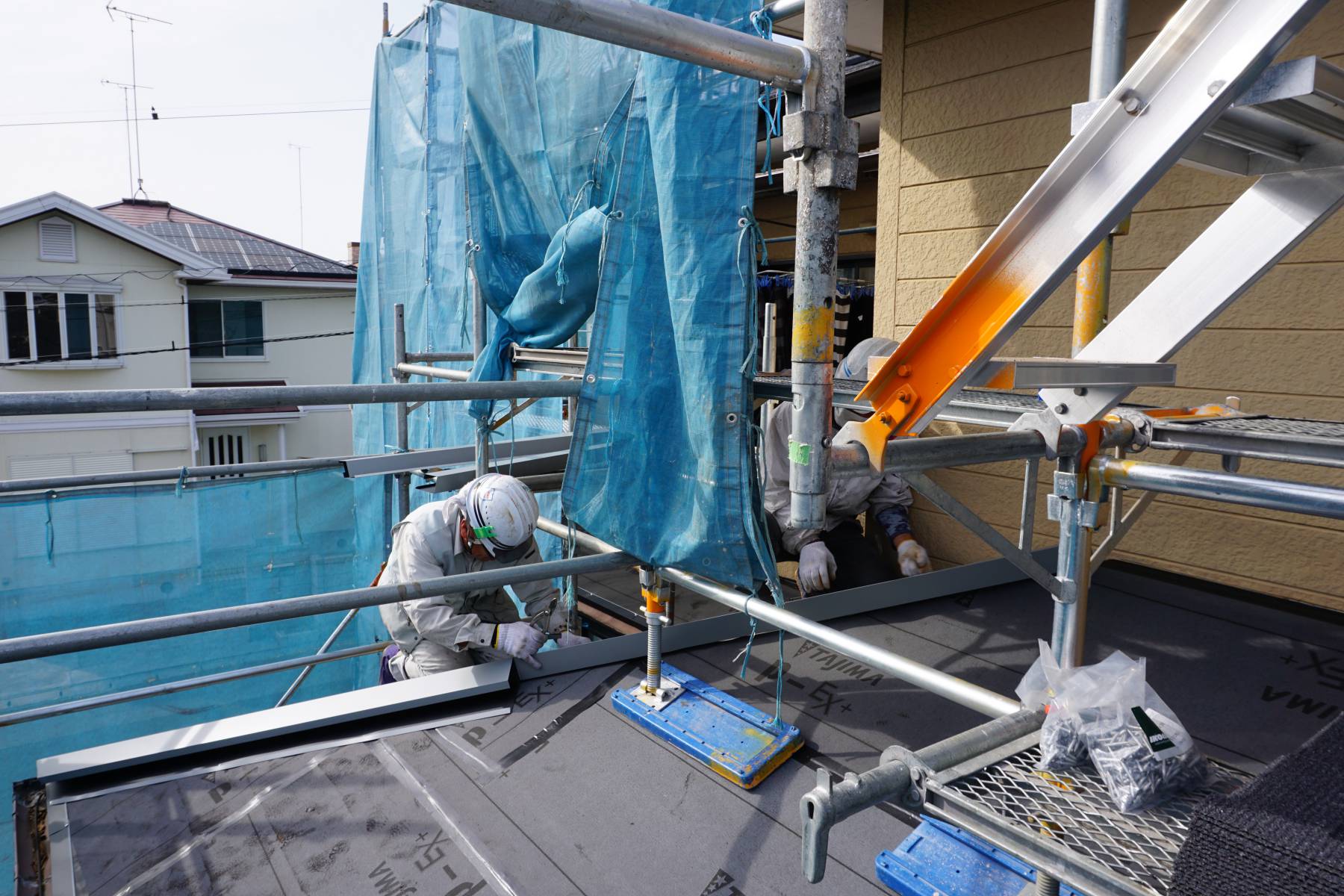 シマジューの写真