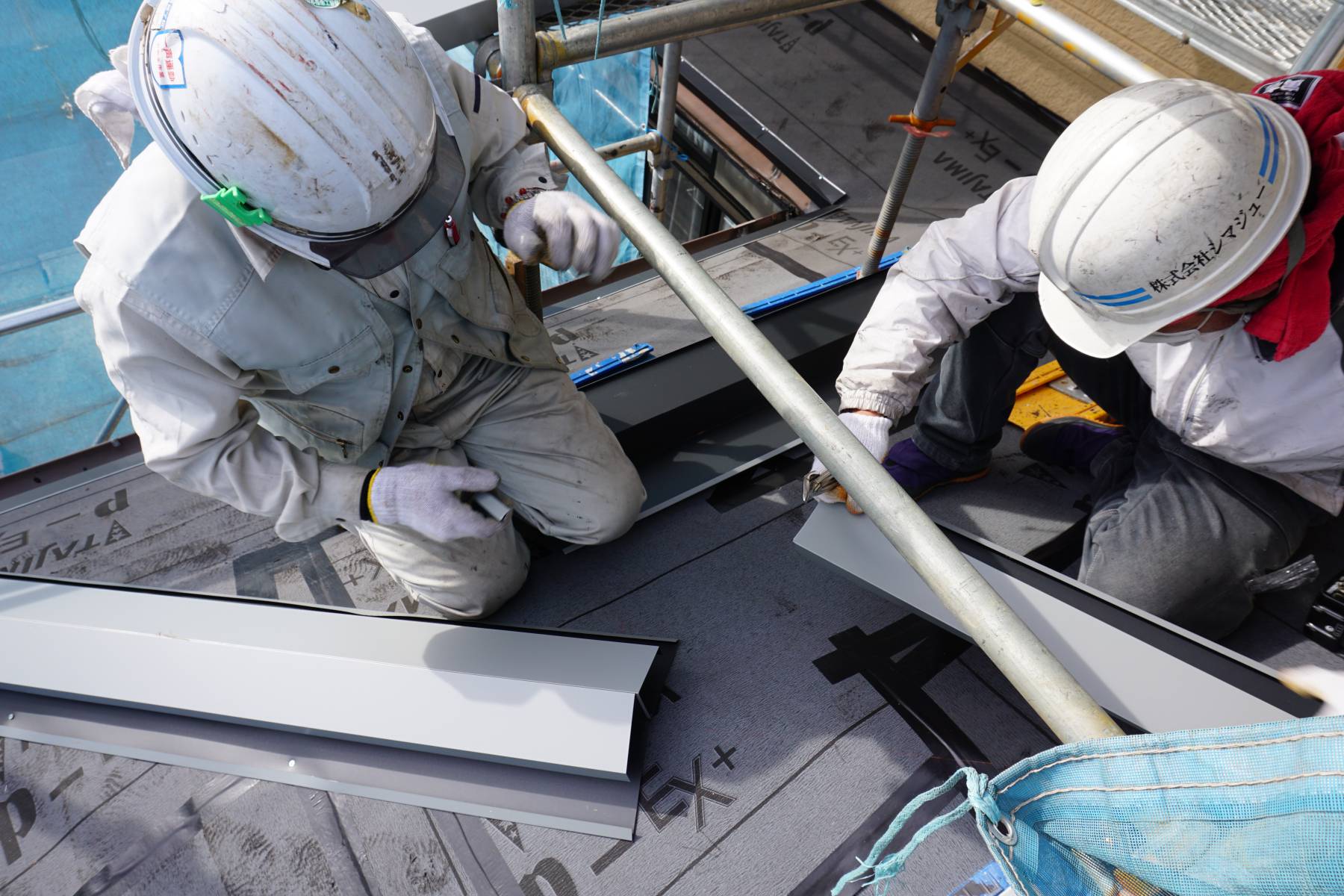 シマジューの写真