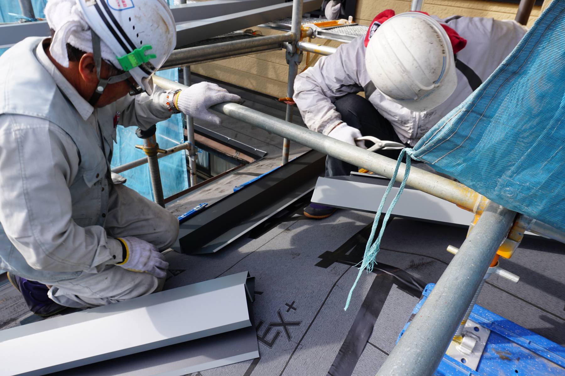 シマジューの写真